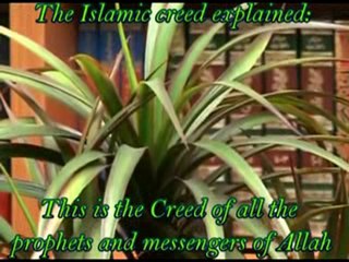 Protect your self from WAHABBIES by Islamic Knowledge