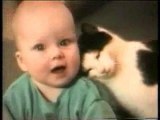 Humour gag video rire drole chat
