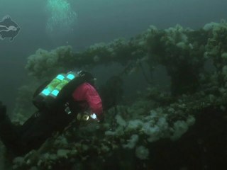 SS Rose Castle Wreck Dive, Newfoundland