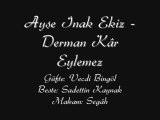 Ayşe İnak Ekiz-Derman Kar Eylemez