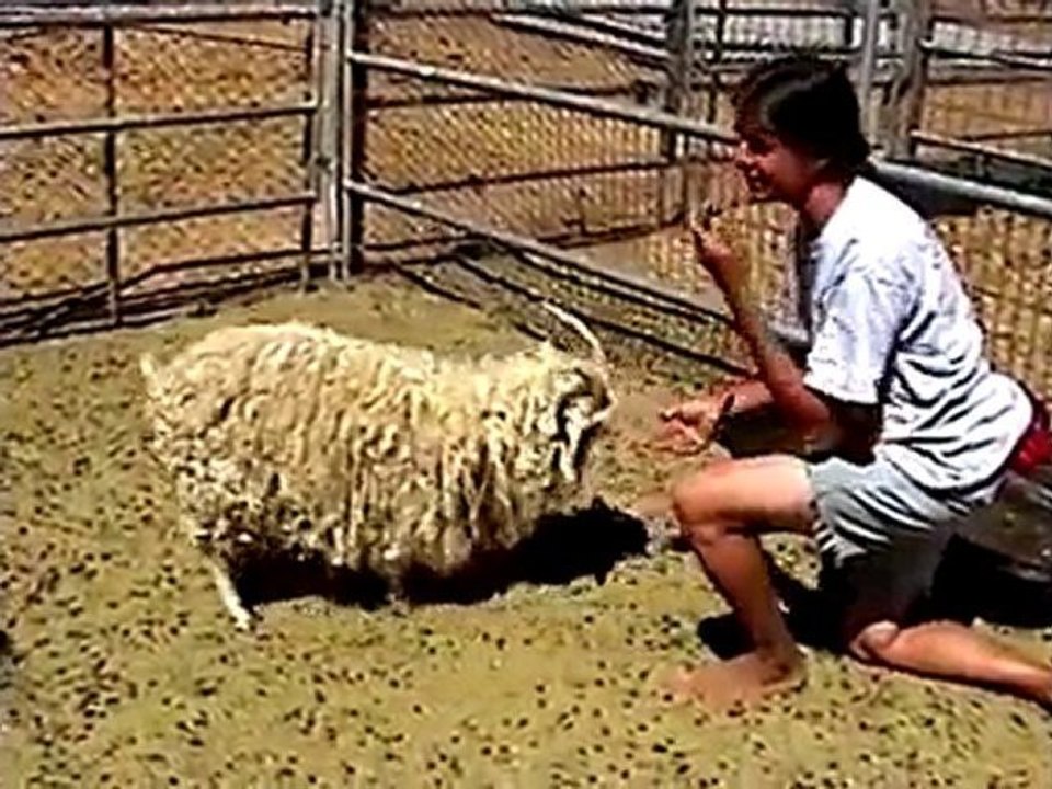 Rivendel Animal Sanctuary