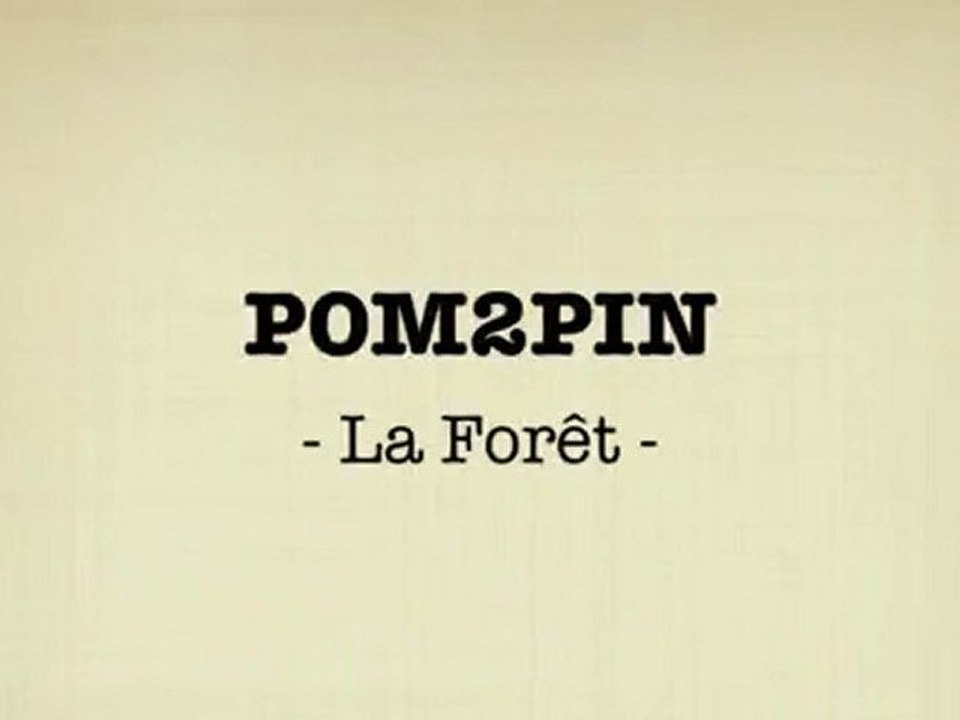 POM2PIN_3