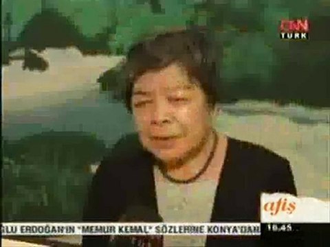 Japonya Medya Sanatları ve Hirayama Sergileri-CNN Türk Afiş