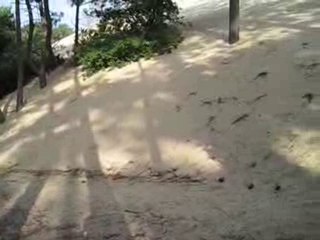 Au camping au pied des dunes.