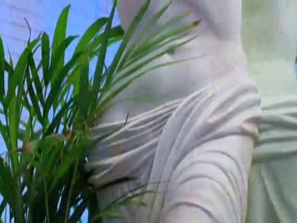 Snk kosmetik – innovativ und trendorientiert