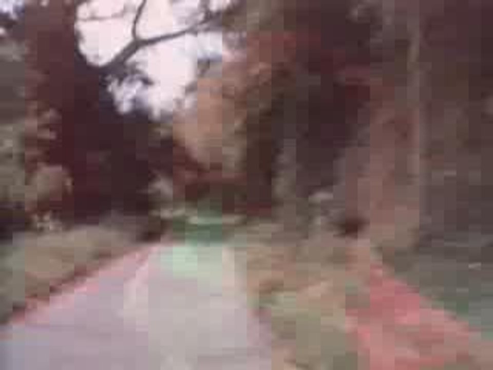 La Cie Creole - C'est bon pour le moral