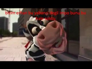 möö möö