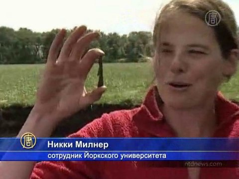 Обнаружен самый старый дом в Британии