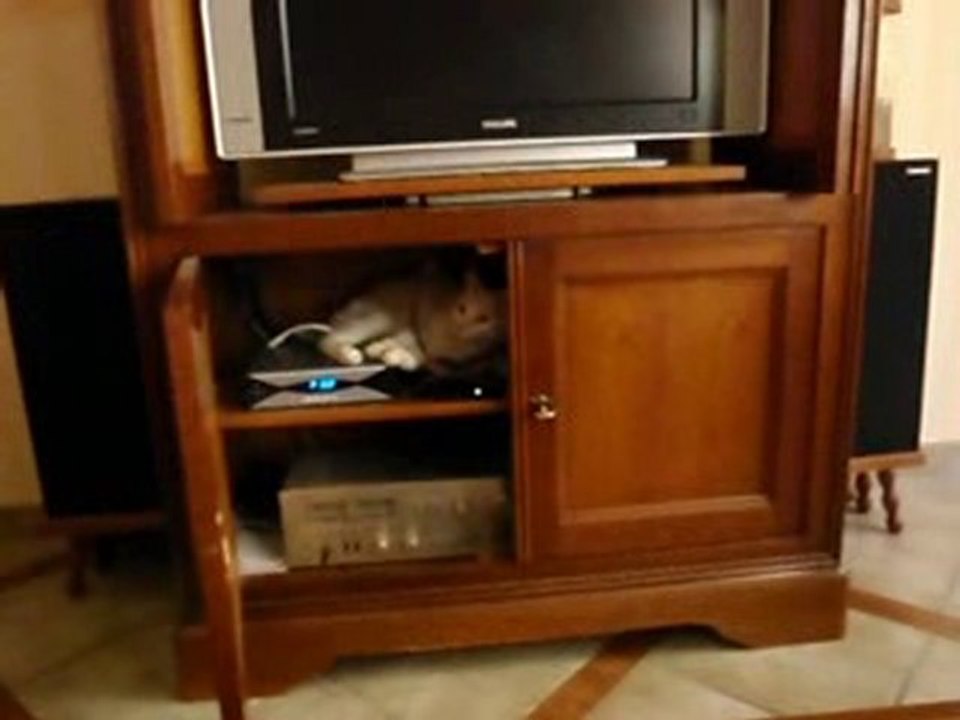 Brook sur la freebox !!!!