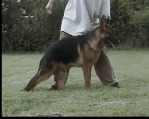 FLICK DE LA CROISEE CAUCHY