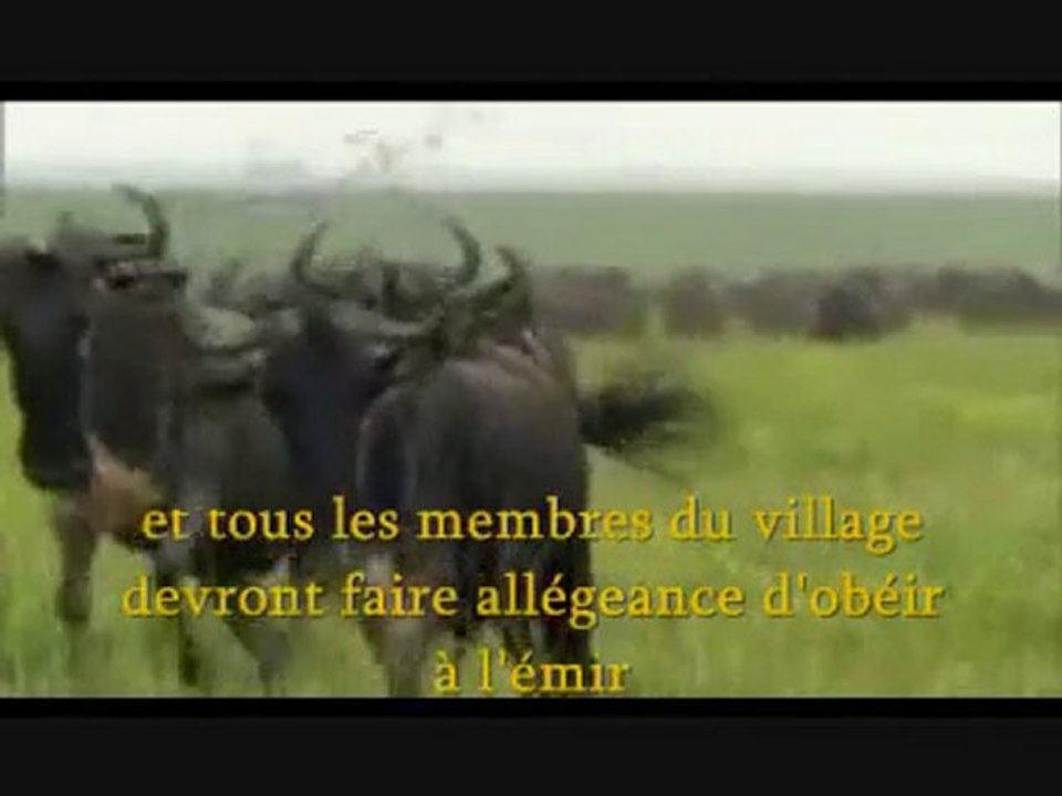 The Muslim Village - Sheikh Imran Hosein Pt. 5