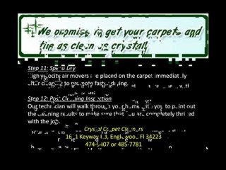 Venice Carpet and Tile Cleaning with Crystal Carpet  Florida