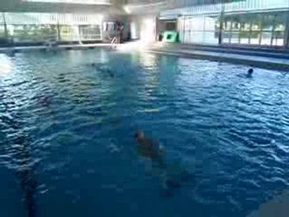 piscine stage été 2010