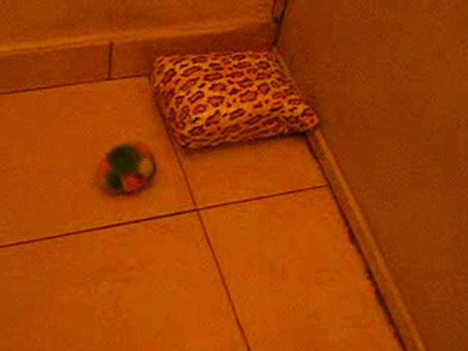 DSCF7645