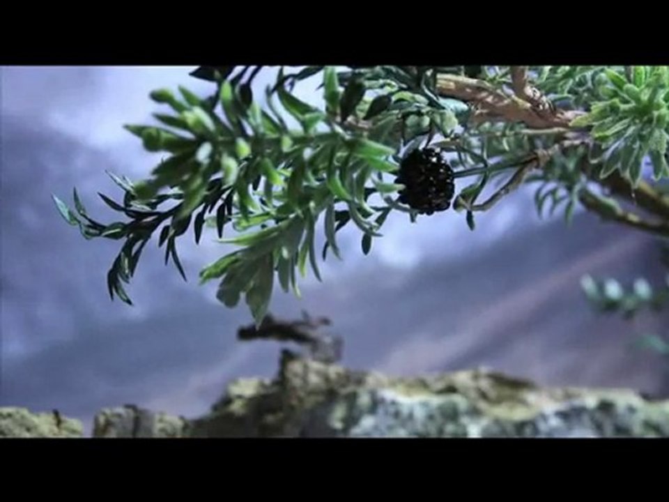 Atilla Engin - Felek Usta 1971 Evren Plak