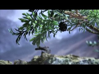 Atilla Engin - Felek Usta 1971 Evren Plak