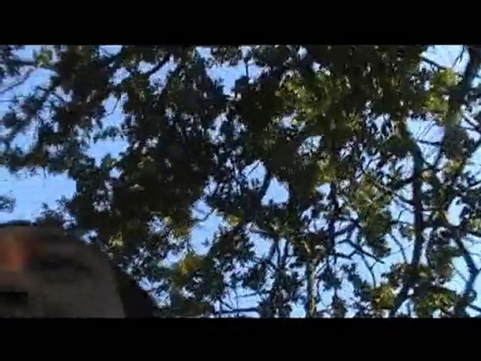 $1.42 an Hour (Using Nunchucks)