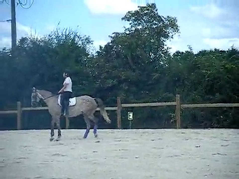 Qidditch du Vallon & Morgane (1)