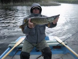 Brochet à la mouche en Irlande 2010