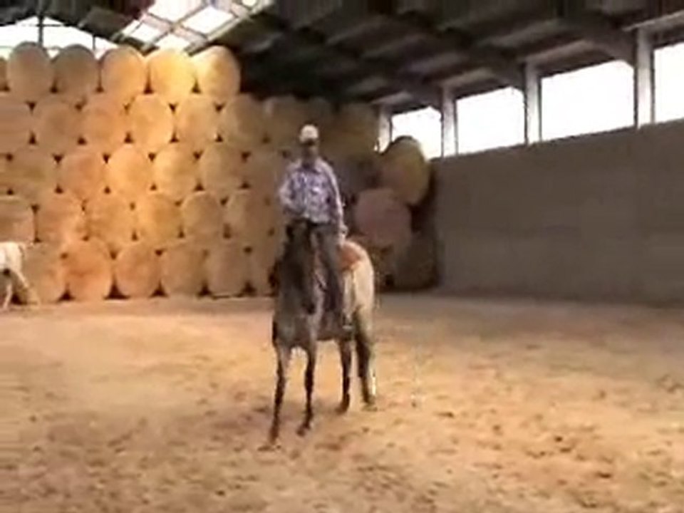 Gmr miss kitty - erstes reiten