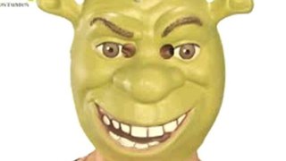 Shrek and Donkey Halloween Masks