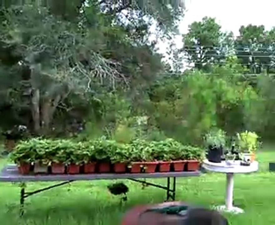 Test video