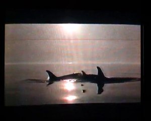 Sauvez Willy 3 [5/5]