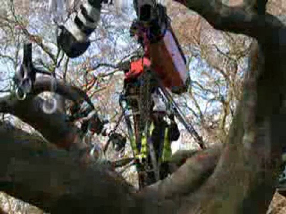 Tree of souls - Featurette Tree of souls (Anglais)