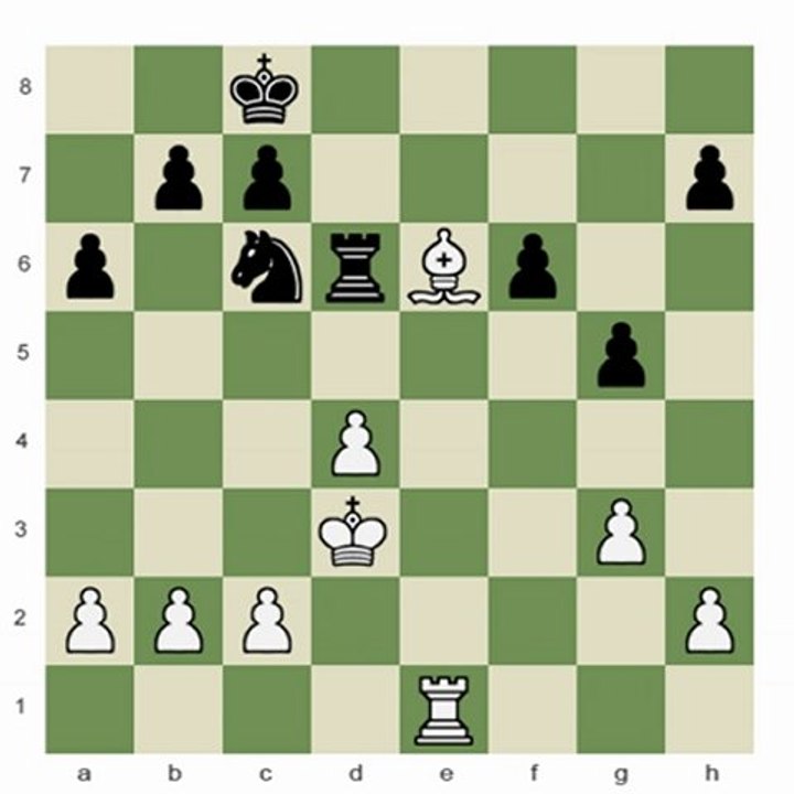 The King Fights!