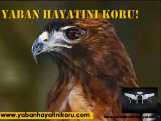 YASAM HAKKINA SAYGI Y.H.S