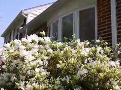 Homes for Sale - 2709 N Robino Dr - Wilmington, DE 19808 - C