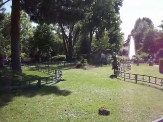 jardin d'acclimatation cheval