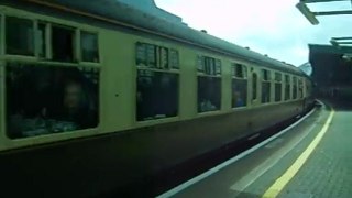 western champion  D1015+40145 at bristol tm in 2010