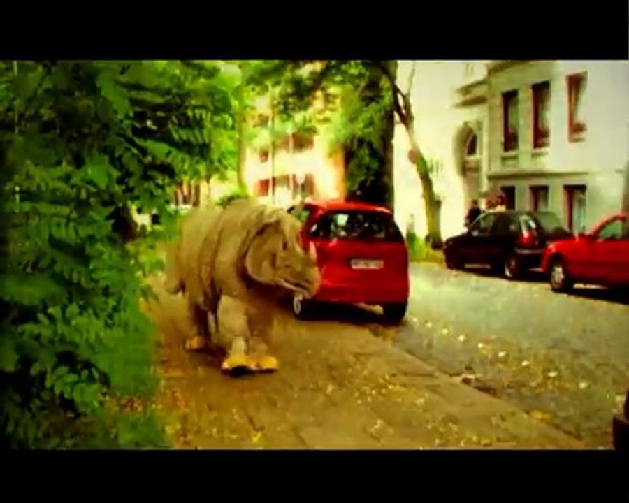 Leilanautik - 1000km