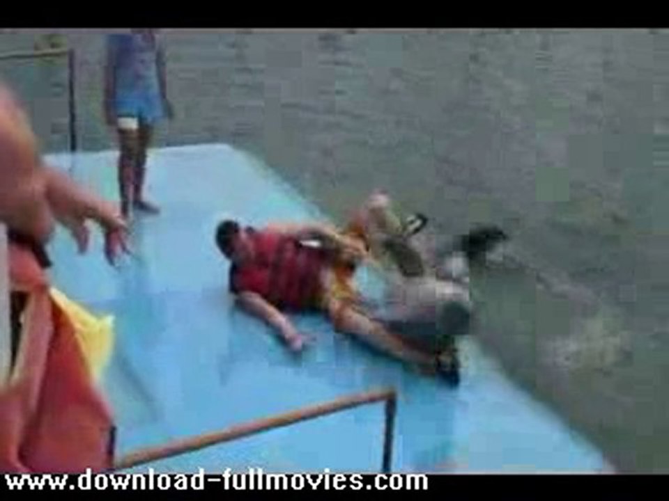 Funny Dolphin