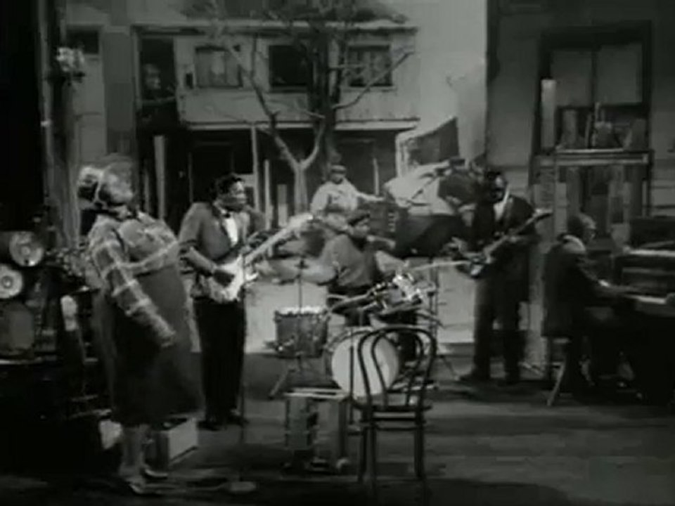 Big  Mama Thornton ft. Buddy Guy - Hound Dog