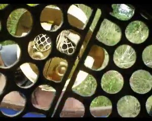 vidéo LUDUS ARGENTORATE 2010