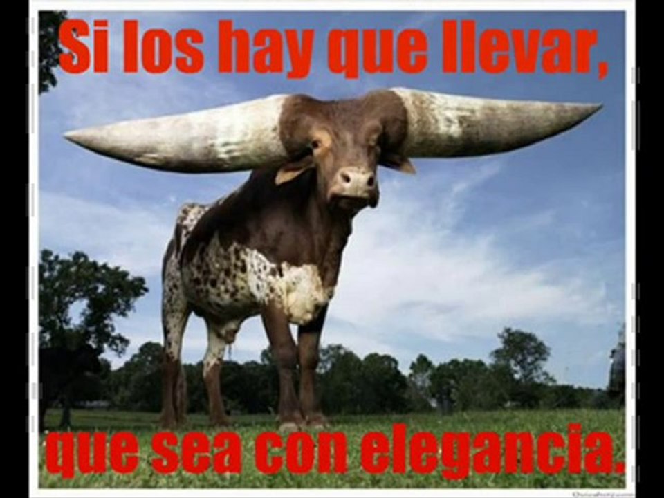 Piedruky