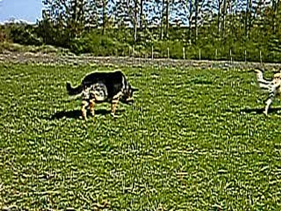 "HO"BEISSANCE