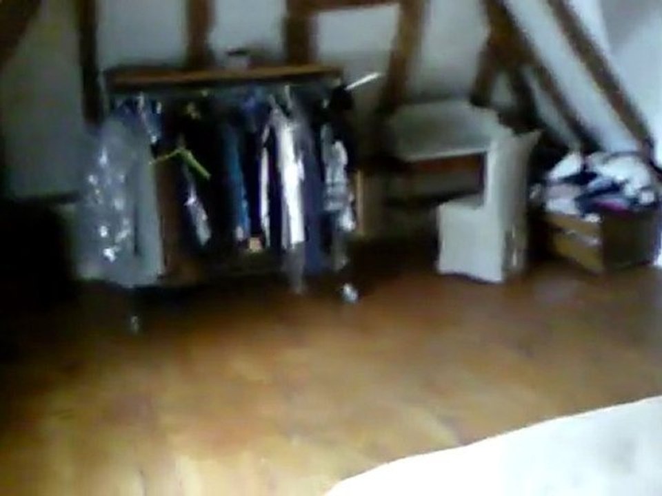 la chambre, la salle d'eau, le salon et la cuisine