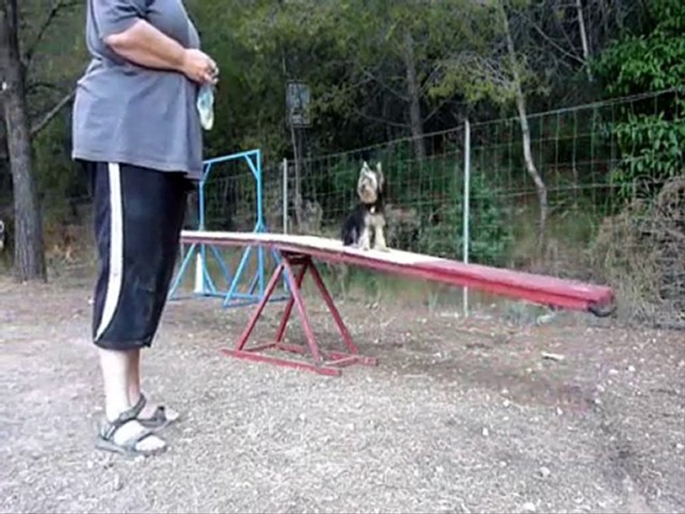 Fu agi août 2010_0001