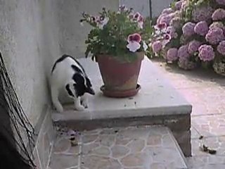 Cassiopée, 5 mois et demi