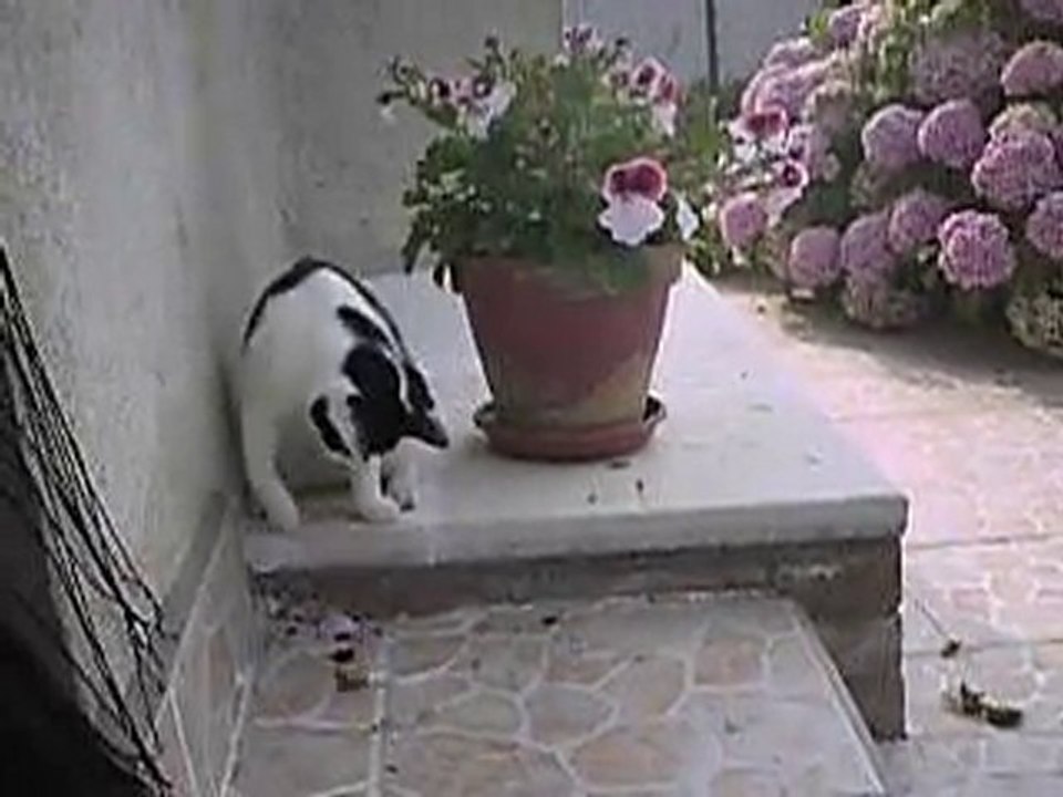 Cassiopée, 5 mois et demi