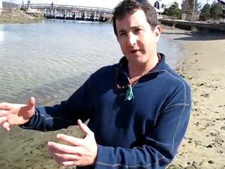 Psychologist, Consultant & Coach - dr brett denkin