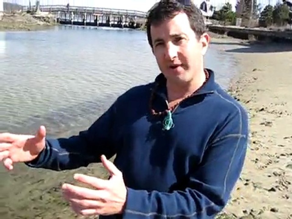 Psychologist, Consultant & Coach - dr brett denkin