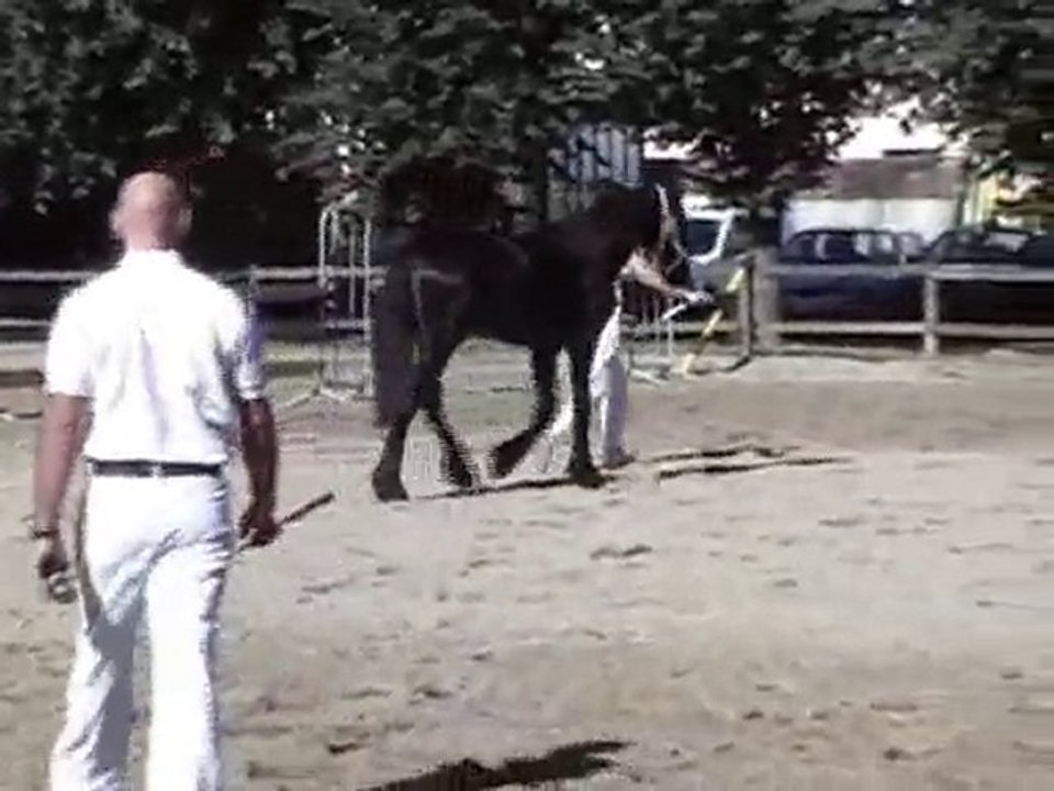 Etna des Bruyères -Concours Frison 2010 - 1/2