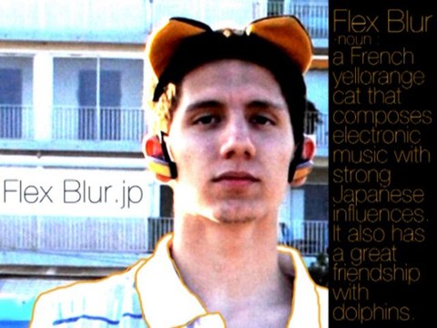 Flex Blur - さよなら, 十二日の間 (Sayônara, juuninichi no aida)