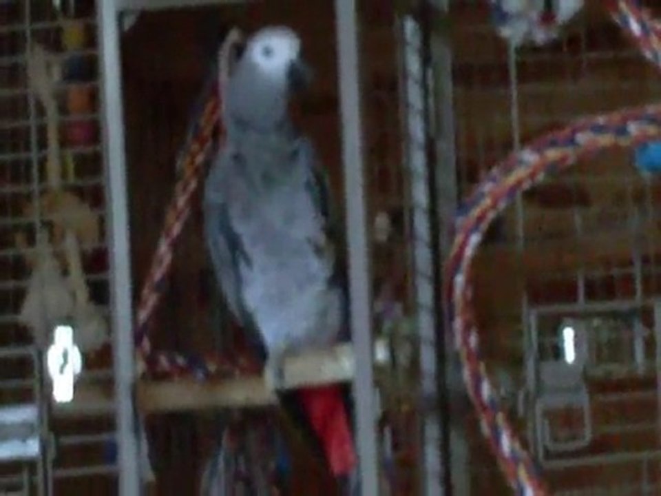 Dans la cage de Luna je suis bien C