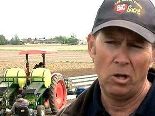 Téléjournal - La syndicalisation des travailleurs agricoles