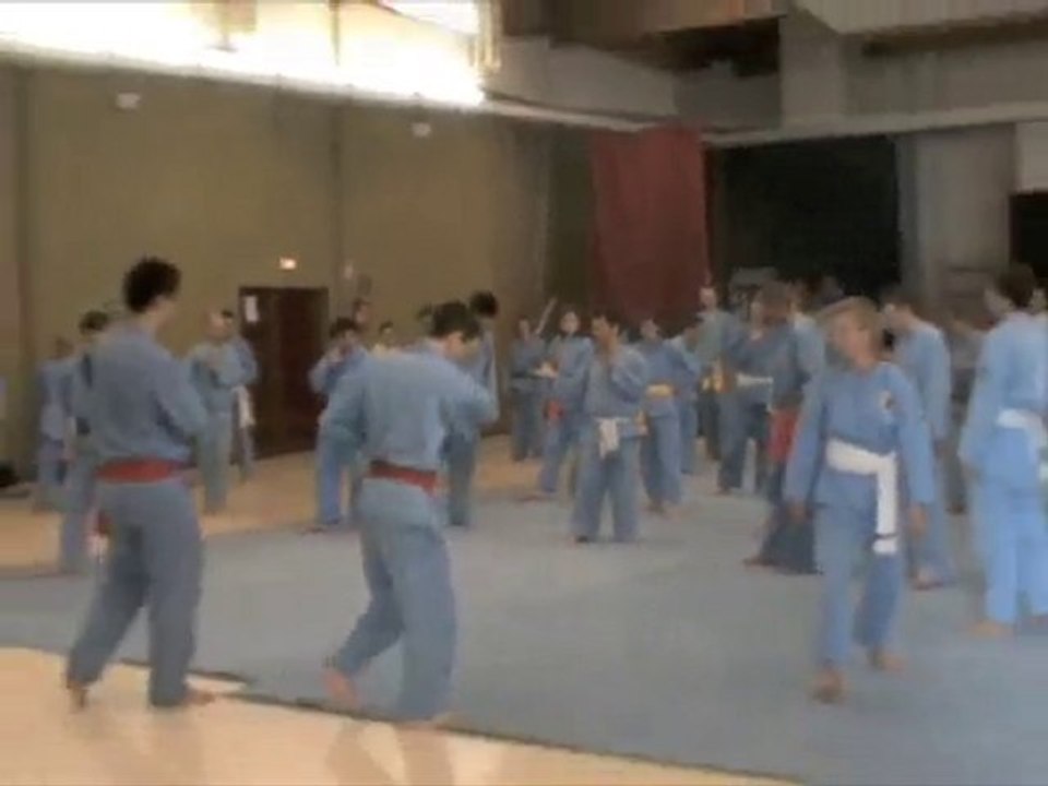 Stage fête du Têt Castries 2010